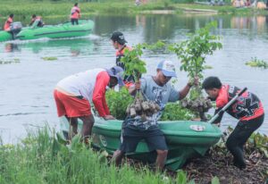 Mahigit 1,000 Narra seedlings naitanim sa Pahamuddin